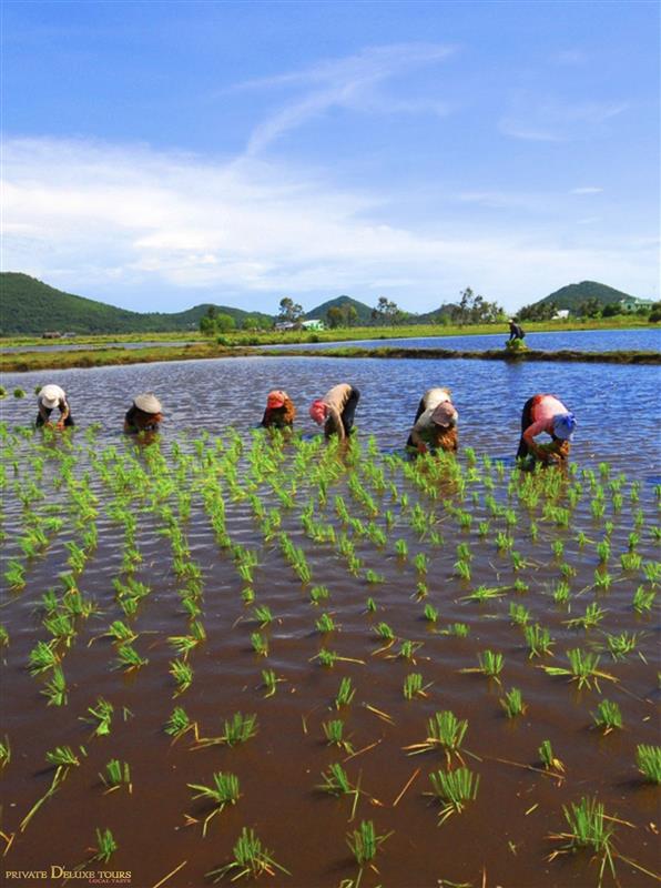 NINH BINH MOUNTAIN